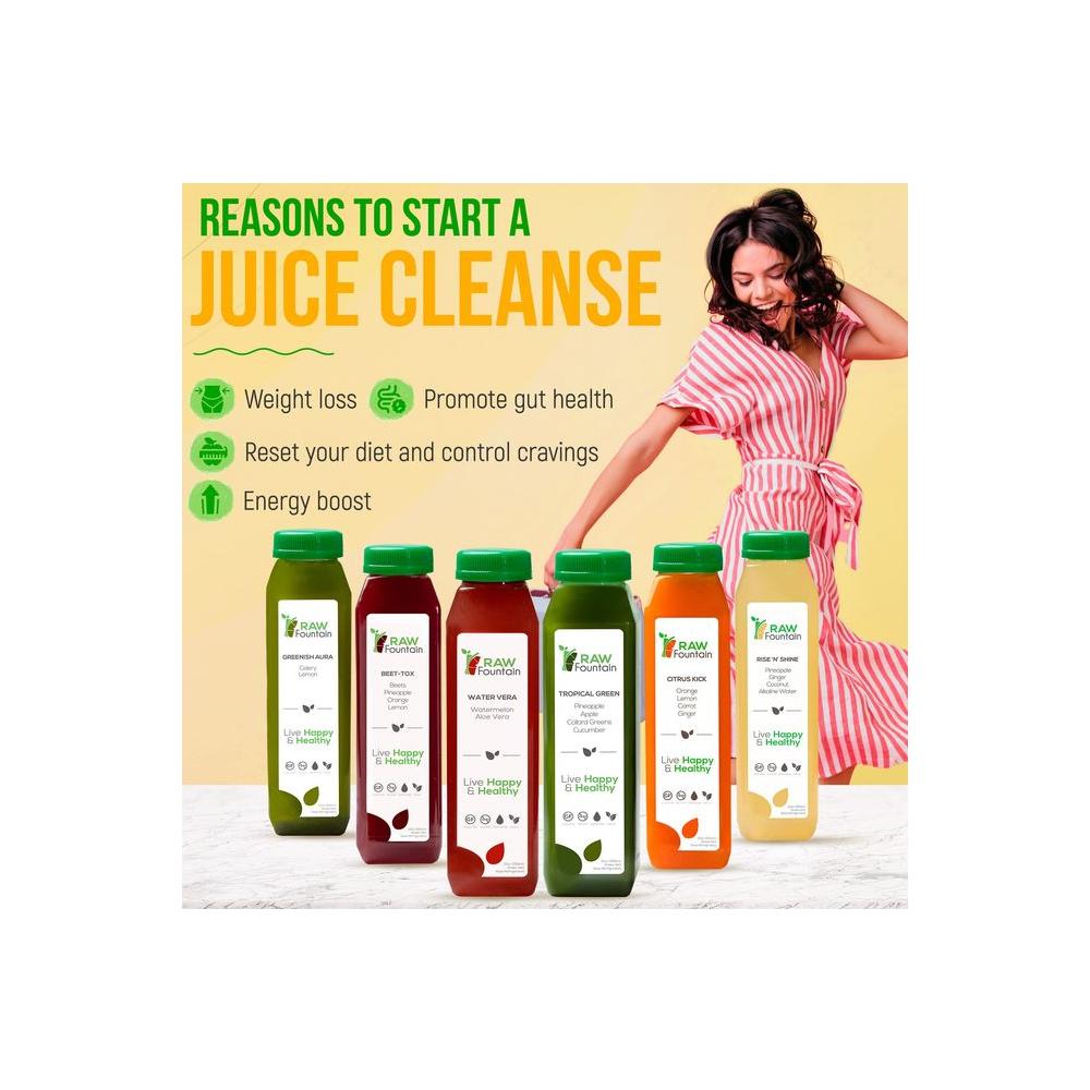 1 Day Juice Cleanse by Raw Fountain Tropical Flavors All Natural Raw Cold Pressed Fruit and Vegetable Juices Detox Cleanse 6 Bottles 12oz 3 Bonus Ginger Shots - Whlsome - Fruit Juices