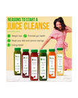 1 Day Juice Cleanse by Raw Fountain Tropical Flavors All Natural Raw Cold Pressed Fruit and Vegetable Juices Detox Cleanse 6 Bottles 12oz 3 Bonus Ginger Shots - Whlsome - Fruit Juices