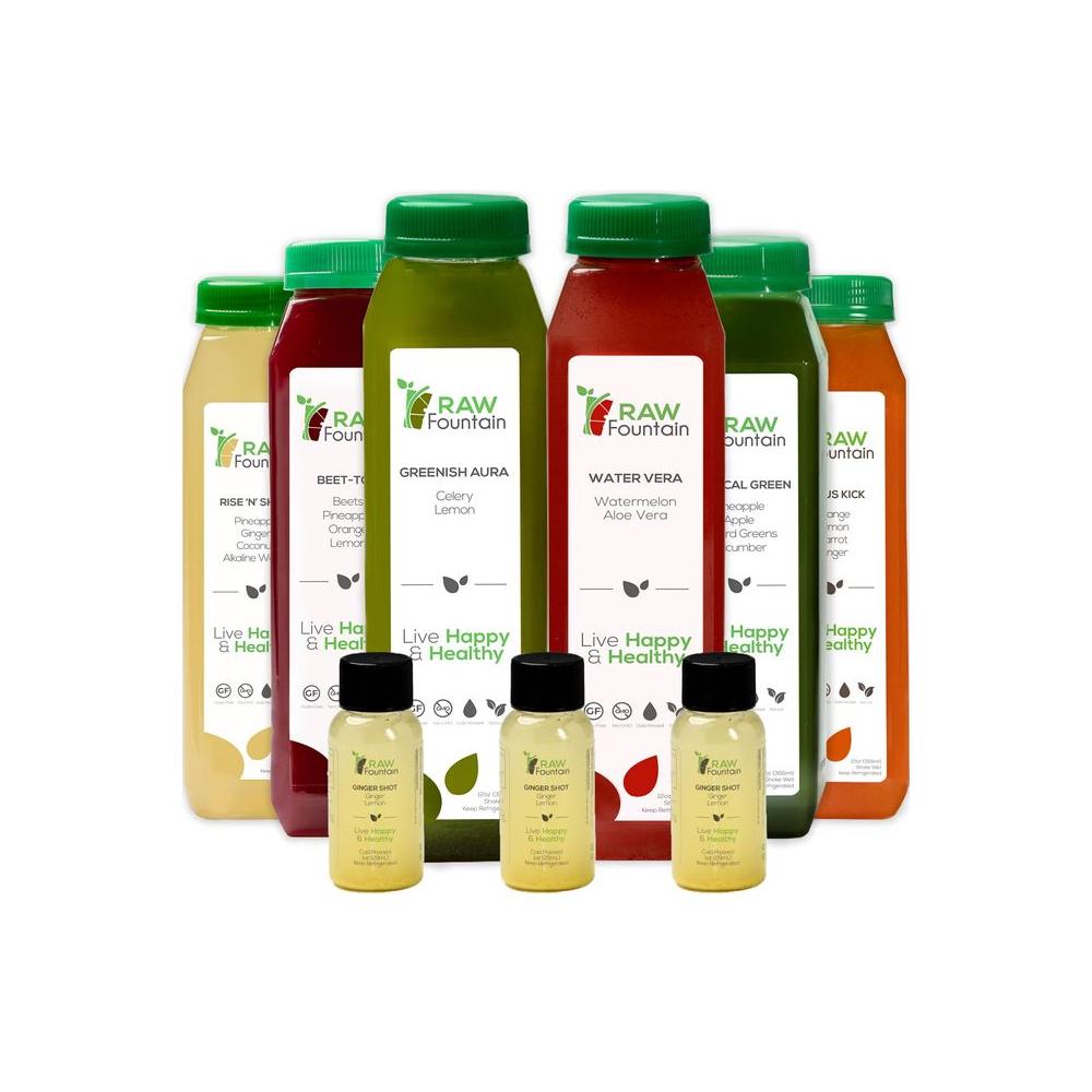 1 Day Juice Cleanse by Raw Fountain Tropical Flavors All Natural Raw Cold Pressed Fruit and Vegetable Juices Detox Cleanse 6 Bottles 12oz 3 Bonus Ginger Shots - Whlsome - Fruit Juices