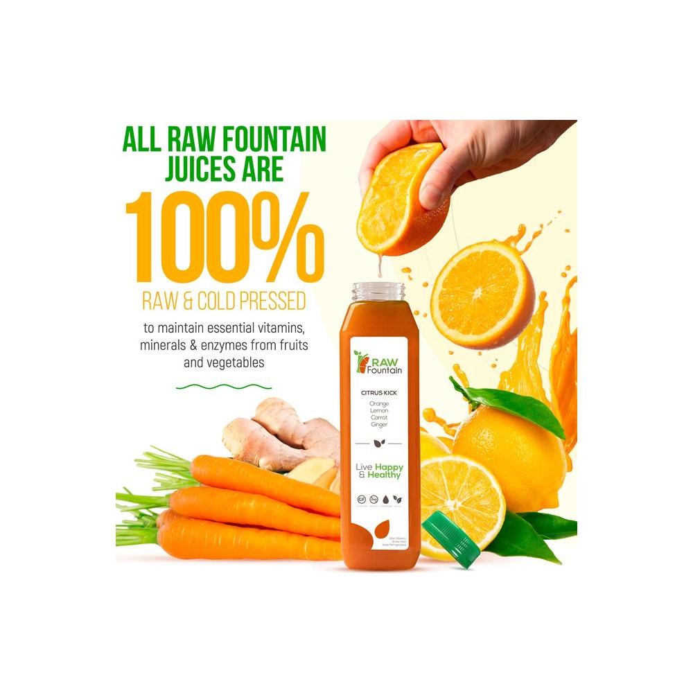 1 Day Juice Cleanse by Raw Fountain Tropical Flavors All Natural Raw Cold Pressed Fruit and Vegetable Juices Detox Cleanse 6 Bottles 12oz 3 Bonus Ginger Shots - Whlsome - Fruit Juices