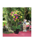 10 in Hibiscus Pink Lemonade Braided Hibiscus Tree 1 Piece - Whlsome - Lemonade