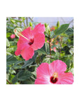 10 in Hibiscus Pink Lemonade Braided Hibiscus Tree 1 Piece - Whlsome - Lemonade