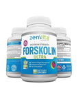 100% Pure Forskolin Extract 600mg - w/ 40% Standardized Forskolin | 90 Capsules - Whlsome - Weight Loss Supplements