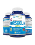 100% Pure Forskolin Extract 600mg - w/ 40% Standardized Forskolin | 90 Capsules - Whlsome - Weight Loss Supplements