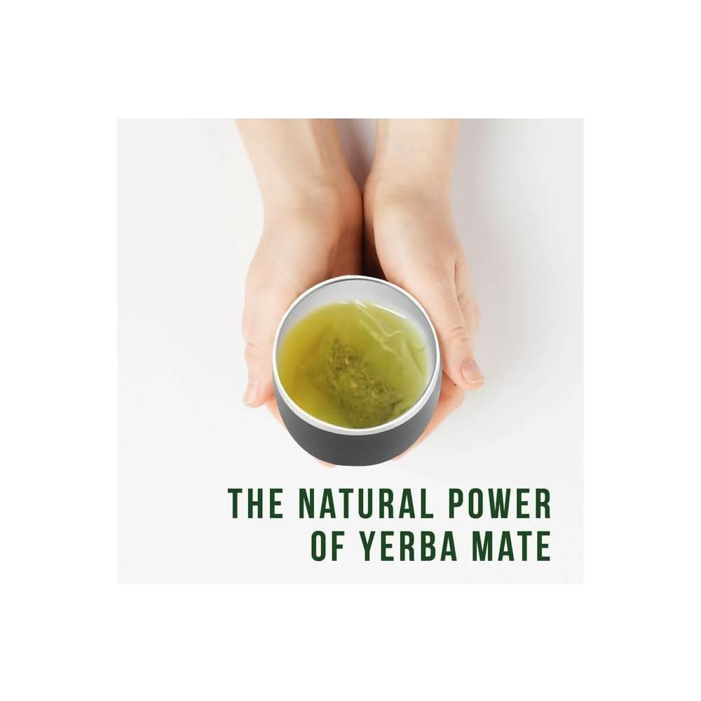 100 Unsmoked Organic Yerba Mate Tea Bags Organic Yerba Mate Tea Alternative to Tea Coffee and Energy Drinks 100 Tea Bags 1 Pack - Whlsome - Tea