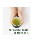 100 Unsmoked Organic Yerba Mate Tea Bags Organic Yerba Mate Tea Alternative to Tea Coffee and Energy Drinks 100 Tea Bags 1 Pack - Whlsome - Tea