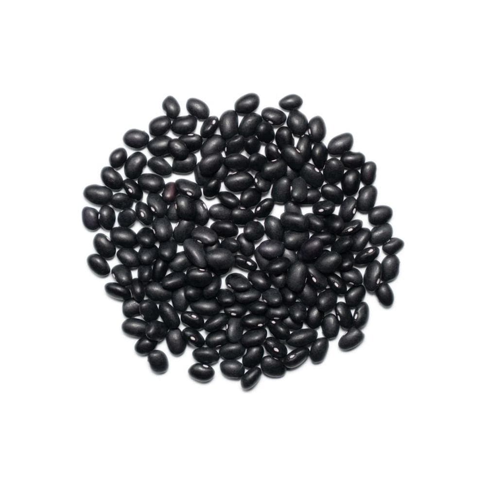 1000 SPRINGS MILL 25lb Bulk Bag Organic Black Beans Used for Soups Salads Chili Dips or Various Breakfast Dishes Bulk Dry Black Beans Resealable Bag Vegan Friendly - Whlsome - Canned Beans