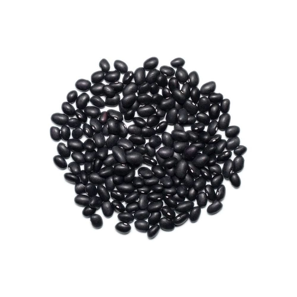 1000 SPRINGS MILL 25lb Bulk Bucket Organic Black Beans Used for Soups Salads Chili Dips or Various Breakfast Dishes Bulk Dry Black Beans Resealable Bag Vegan Friendly - Whlsome - Canned Beans