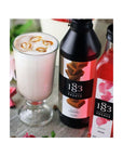 1883 Chocolate Syrup Flavored Syrup for Hot Iced Beverages GlutenFree Vegan NonGMO Kosher PreservativeFree Made in France Plastic Bottle 1 Liter 338 Fl Oz - Whlsome - Grocery (Other)