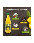 2 Pack 100 Lemon Juice Freshly Squeezed NO Added Water 338oz Not From Concentrate Appx 40 Freshly Squeezed Lemons in Each Bottle Kosher Food Best Select - Whlsome - Fruit Juices