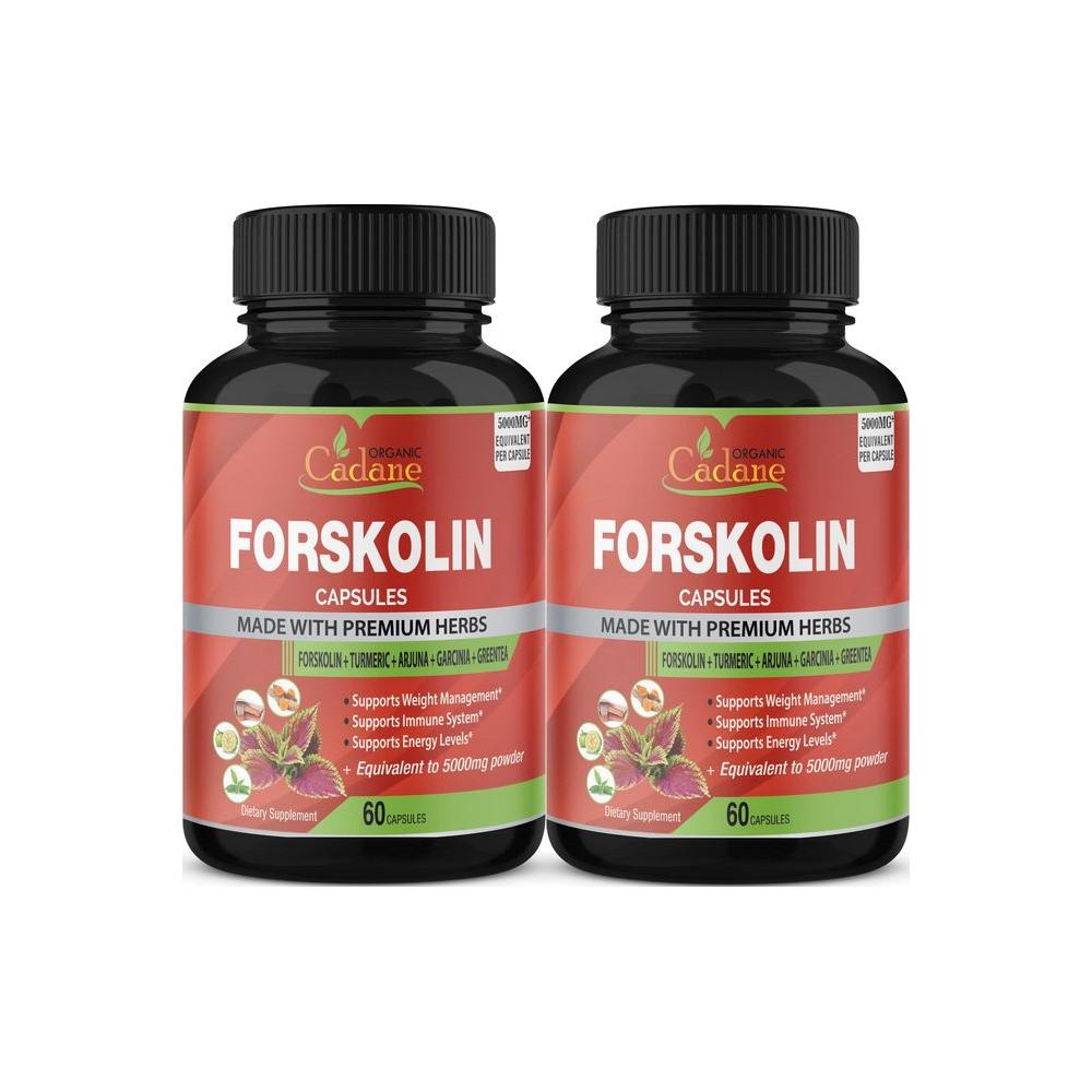 2 Packs Organic Forskolin Supplements Capsules 5000mg with Turmeric, Arjuna, Garcinia Cambogia, Green Tea - Maximum Strength Coleus Forskohlii Extract - Support Energy Production & Immune System - Whlsome - Weight Loss Supplements