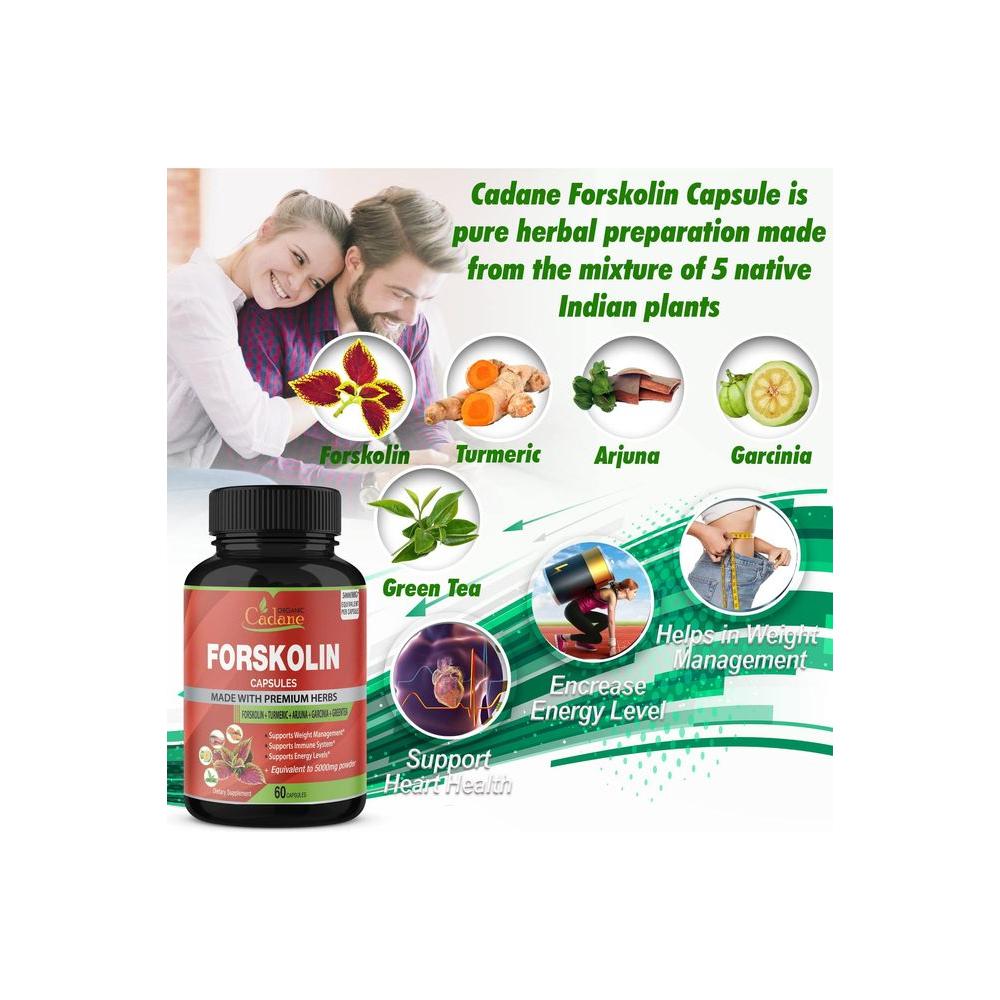 2 Packs Organic Forskolin Supplements Capsules 5000mg with Turmeric, Arjuna, Garcinia Cambogia, Green Tea - Maximum Strength Coleus Forskohlii Extract - Support Energy Production &amp; Immune System - Whlsome - Weight Loss Supplements