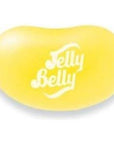 Jelly Belly Pina Colada Jelly Beans  1 Pound 16 Ounces Resealable Bag  Genuine Official Straight from the Source