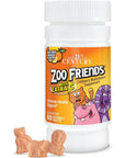 21st Century Zoo Friends with Extra C Chewable Tablets, 60 Count - Whlsome - Vitamins & Supplements