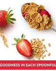 Expect More Kelloggs Special K Red Berries Cereal 43 oz