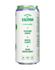 AUTX RAMBLER ENERGY Blackberry Mint 16oz Tallboy Cans 12Pack Texas Yaupon Tea  Antioxidants Caffeinated Sparkling Water