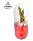 Naturevibe Botanicals Beet Capsules, Ultra-Premium -100% Beet Root Powder, 1000mg Per Serving | 180 Veg Capsules | Made with Beet Root Powder