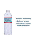 Alpine Spring Water169 Fl Oz Pack of 35Bottled at the Source 075140350018