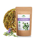 4 oz Alfalfa Leaf Alfalfa Herb Tea Medicago sativa 113g Tea Bags Alfalfa Loose Leaf Tea Herbal Alfalfa Leaves - Whlsome - Tea