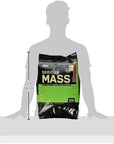 Optimum Nutrition Serious Mass Strawberry Weight Gain Protein Powder 12 lbs