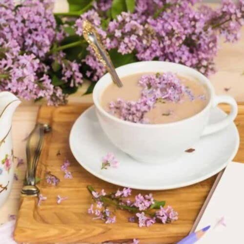 GINO Lavender Milk Tea Lavender Tea  Lavender Milk Tea Powder 14 Oz 400 g 1 PACK