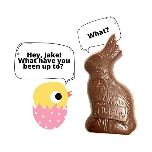 Vegan Gluten Free Jake The Milkless Chocolate Easter Bunny  Allergy Friendly  Dairy Free Nut Free Peanut Free Soy Free Sesame Free