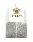 Hyleys Tea Natural Echinacea  Ginger Root Green Tea  25 Tea Bags  100 Natural Sugar Free Gluten Free and NonGMO