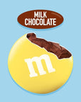 Easter MMsMilk Chocolate Candies Fun Size  Pack of 22