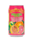 Hawaiian Sun PassOGuava Nectar  Pack of 12  115 Ounce Per Can  Tropical Drinks  Guava Variety Bundle  Blend Of Passion Fruit Guava And Orange Juice  Summer Beverage