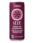 IZZE Sparkling Juice 4 Flavor Variety Pack  No Added Sugars and Preservatives  90 Calories Per Can  Ready Set Gourmet Donate a Meal Program  1 Pack 84oz 24ct 6 of Each Flavor