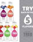 Treo Fruit & Birch Water Drink - Variety Pack - 16 fl oz, Pack of 12