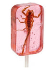 Insect Sucker Lollipop Bundle  Pack of 4  Scorpion Ants Cricket And Worm  Flavors Vary  With Licensed Sticker