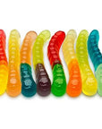 Fruidles Large Gummi Worms Candy Assorted Fruit Flavors Gummies Allergy Friendly NonGMO No Artificial Sweeteners Gummy 1 Pound