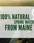 Poland Spring 100 Natural Premium Spring Water  8 Fl Oz Bottles  Pack of 16