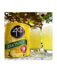 4C Powdered Drink Mix Canister Lemonade 6 Pack 9 Quarts Family Sized Bin Thirst Quenching Flavors - Whlsome - Drinks & Beverages