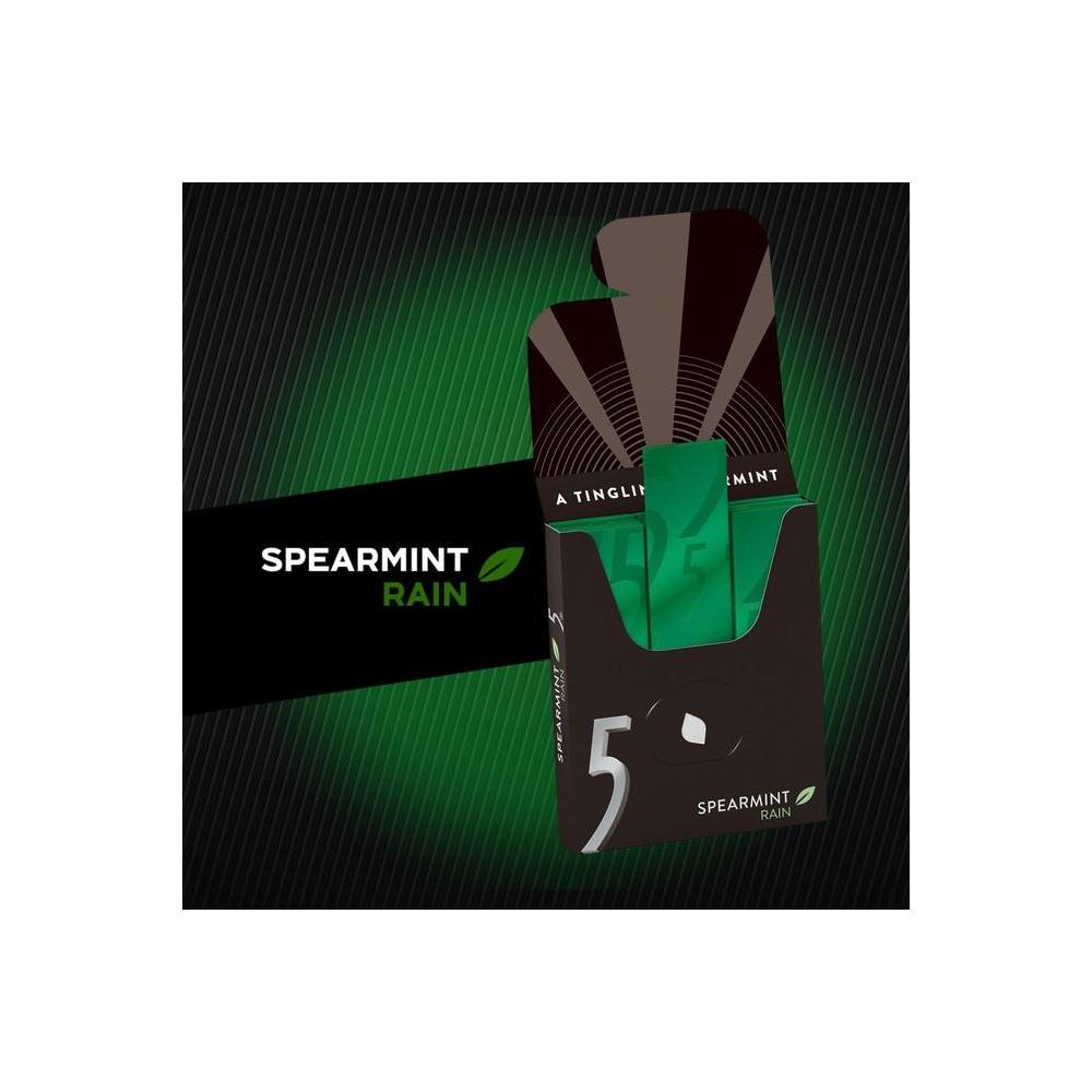 5 Gum Spearmint Rain Sugarfree Gum, 15 Piece (10 pack) - Whlsome - Chewing &amp; Bubble Gum