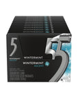 5 Gum Winter - Mint Ascent Sugar - Free Gum, 15 Count (Pack of 10) - Whlsome - Chewing & Bubble Gum