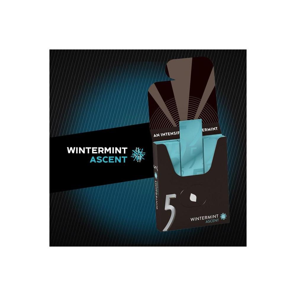 5 Gum Winter - Mint Ascent Sugar - Free Gum, 15 Count (Pack of 10) - Whlsome - Chewing &amp; Bubble Gum