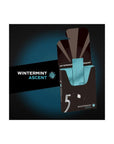 5 Gum Winter - Mint Ascent Sugar - Free Gum, 15 Count (Pack of 10) - Whlsome - Chewing & Bubble Gum