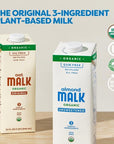 Malk Organic Unsweetened Almond Milk  32 fl oz  6 pack  Non GMO Whole 30 approved Dairy Free Vegan Plant Based