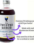 The Twisted Shrub - Strawberry Lime + Blueberry Lemon - Pack of 3