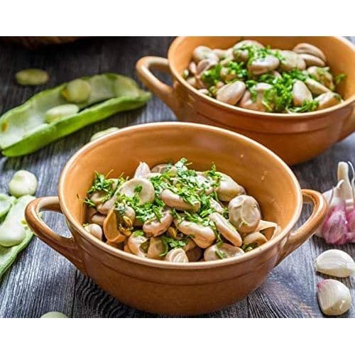 Food to Live Organic Fava Beans 5 Pounds  Broad Beans NonGMO Kosher Raw Sproutable Dried Vicia Faba Bulk Seeds Sirtfood Product of the USA