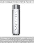 Voss Artesian Still Water 127 fl oz 375 mL 4Pack in Glass Bottles  Refreshing and Tasty  Healthiest Water with Energy Sustaining Aquamin  Also A Sensory Bottle  Environmentally Friendly