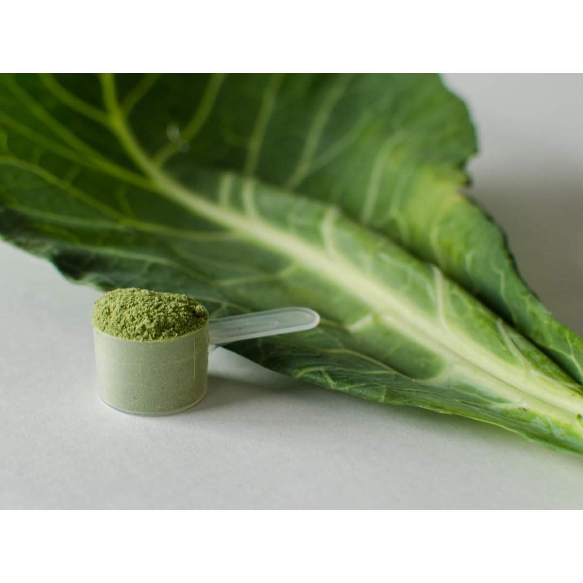 KOYAH  Organic USA Grown Collard Greens Powder Equivalent to 15 Cups Fresh Freezedried WholeLeaf Powder