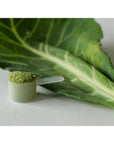 KOYAH  Organic USA Grown Collard Greens Powder Equivalent to 15 Cups Fresh Freezedried WholeLeaf Powder