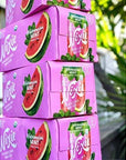 Nixie Sparkling Water Organic Watermelon Mint Sparkling Water 8 Pack 12 FZ