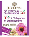 Hyleys Tea Natural Echinacea  Ginger Root Green Tea  25 Tea Bags  100 Natural Sugar Free Gluten Free and NonGMO