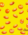 ReesesPieces Peanut Butter Chocolate In a Crunchy Shell Bulk Pack Orange Color  5 Pound