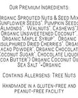 Lark Ellen Farm Cacao Cherry Grain Free Granola Clusters Raw Sprouted Certified Organic Vegan Nut and Seed Mix Low Carb and Sugar Paleo Crunchy Gluten Free Bites for a Healthy Snack Healthy Breakfast Cereal or Yogurt 8 oz  6 pack