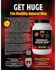 Healthy 'N Fit Muscular Weight Gain v3.0- Natural Vanilla (2.5lb): Highest Protein Gainer- Only protein builds muscle. From America's 